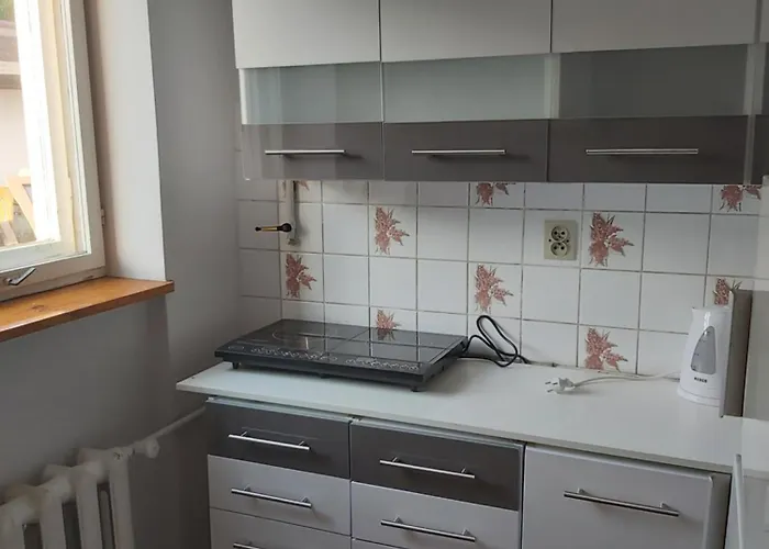 U Podnoza Kotarza 3* ברנה